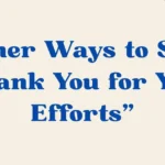 thank you for your efforts