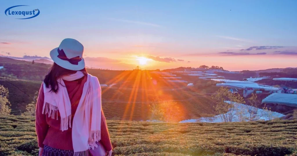 Granting A Fresh Start