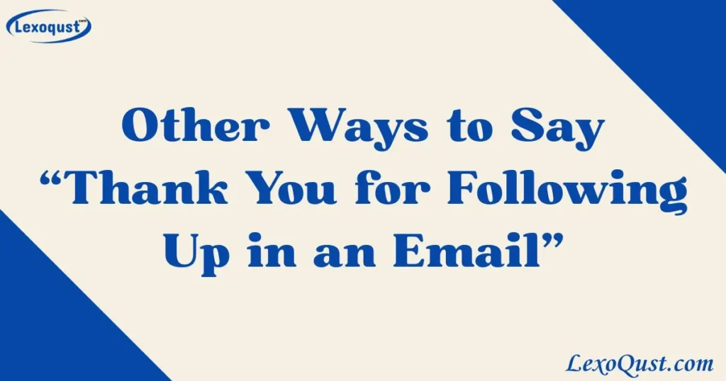 Thank You for Following Up in an Email