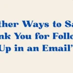 Thank You for Following Up in an Email