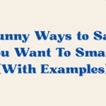 You Want To Smash