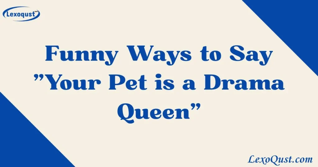 Your Pet is a Drama Queen