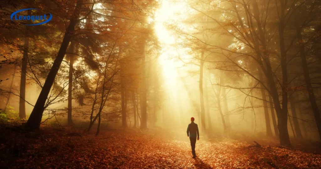 Stepping Into The Shadows