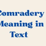 Comradery Meaning In Text