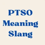 Ptso Meaning Slang