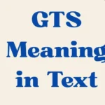 Gts Meaning In Text