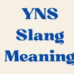 Yns Slang Meaning