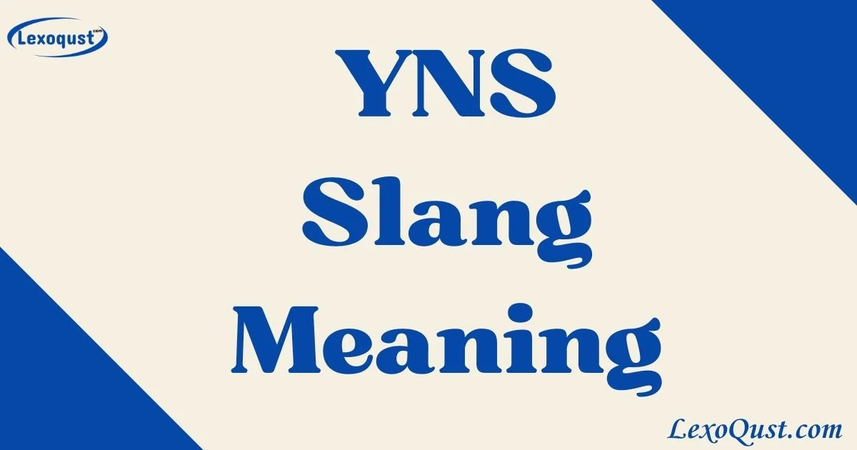 Yns Slang Meaning