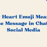 Grey Heart Emoji Meaning