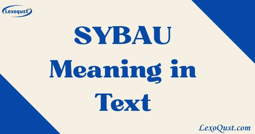 Sybau Meaning In Text