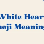 White Heart Emoji Meaning