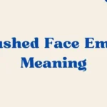 Flushed Face Emoji Meaning
