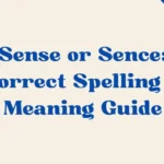 Sense Or Sence